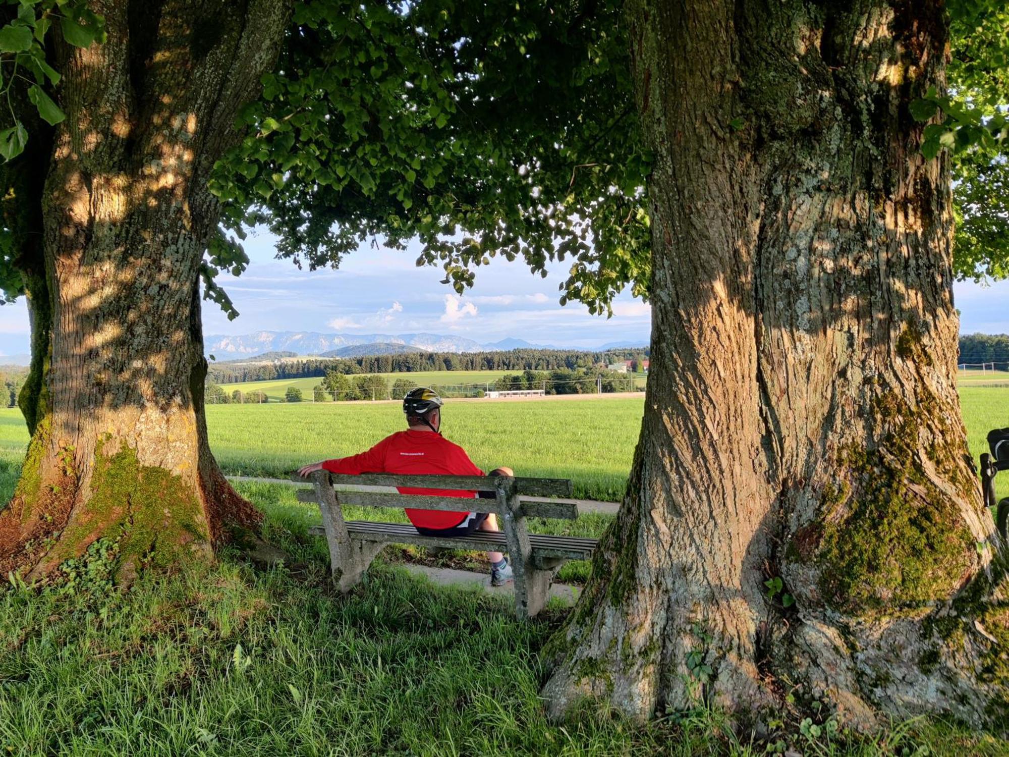 Pension Holzapfel Sankt Georgen im Attergau Ngoại thất bức ảnh