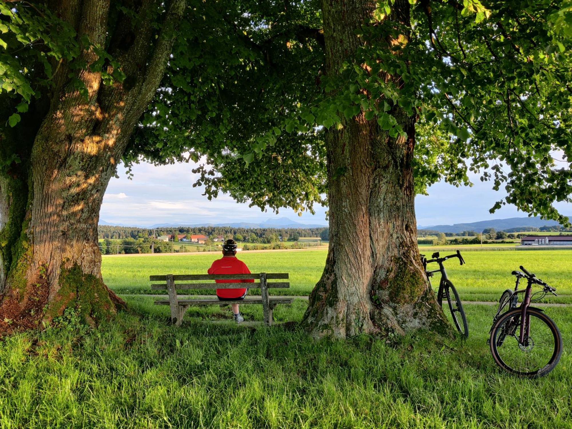 Pension Holzapfel Sankt Georgen im Attergau Ngoại thất bức ảnh